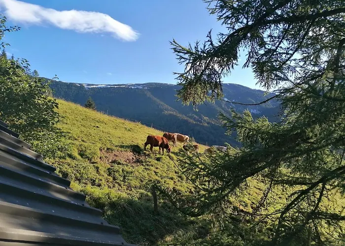 Karavanke Mountain Hut בית נופש